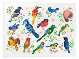 Foam board print Colourful Birds I