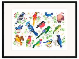 Gerahmter Kunstdruck Bunte Vögel I