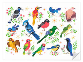 Wall sticker Colourful Birds I - Kidz Collection