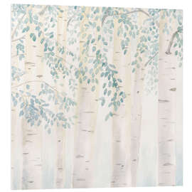 Foam board print Birch trunks in the morning light II