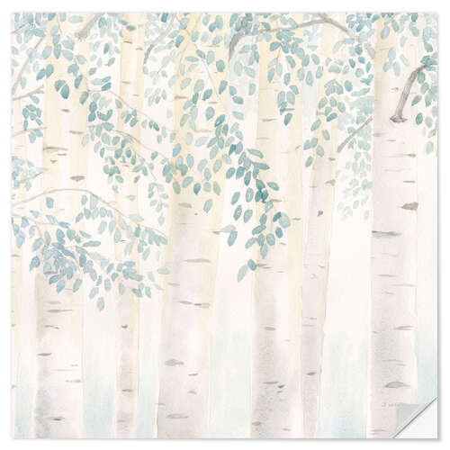 Sticker mural Birch trunks in the morning light II