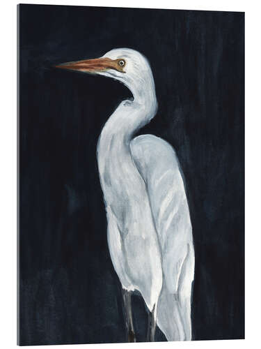 Quadro em acrílico Calm Great Egret I