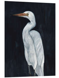 Foam board print Calm Great Egret I