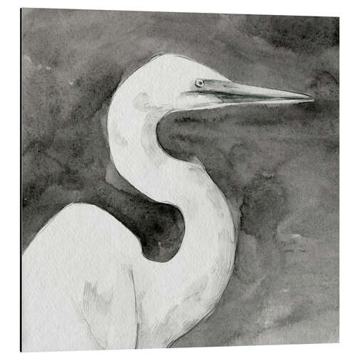 Aluminiumsbilde Solemn Egret III