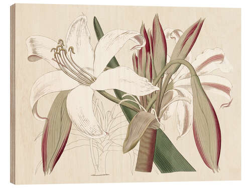 Tableau en bois Amaryllis Varietals II