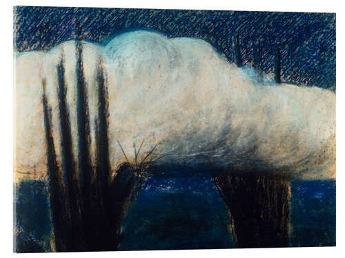 Acrylic print Evening