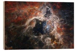 Quadro de madeira  Tarantula Nebula, James Webb Telescope, 2022 - NASA