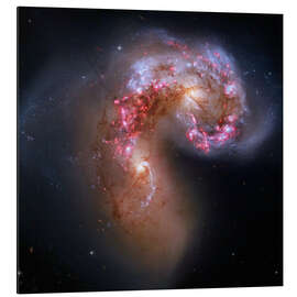 Aluminium print Antennae Colliding Galaxies, Hubble Image, 2013