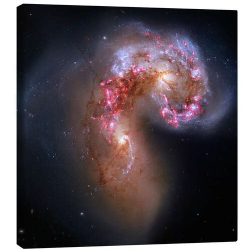 Canvas print Antennae Colliding Galaxies, Hubble Image, 2013