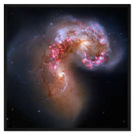 Gerahmter Kunstdruck Antennen kollidierender Galaxien, Hubble-Bild, 2013