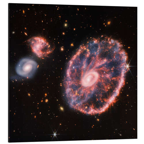 Aluminium print Cartwheel Galaxy and Companion Galaxies, 2022