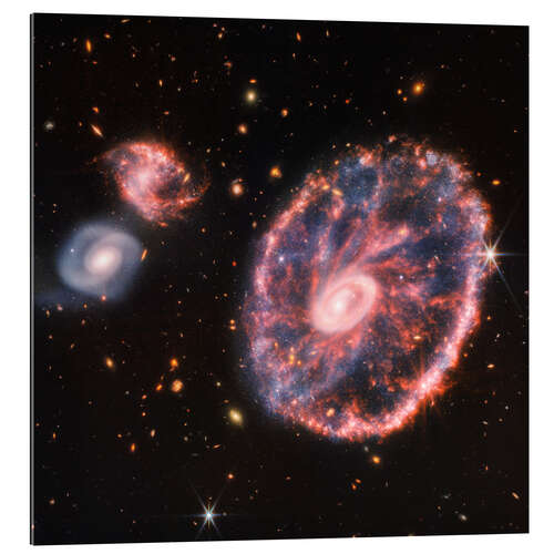 Tableau en plexi-alu Cartwheel Galaxy and Companion Galaxies, 2022