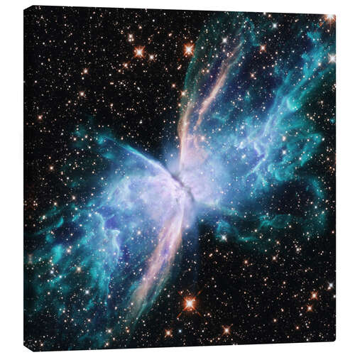 Stampa su tela Butterfly Nebula, Hubble Space Telescope, 2022