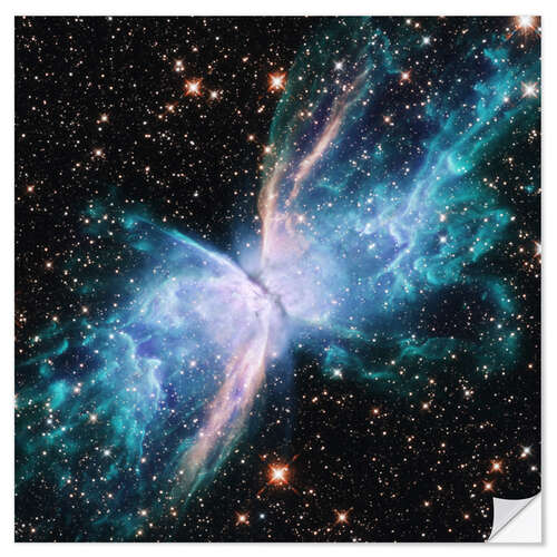 Selvklebende plakat Butterfly Nebula, Hubble Space Telescope, 2022