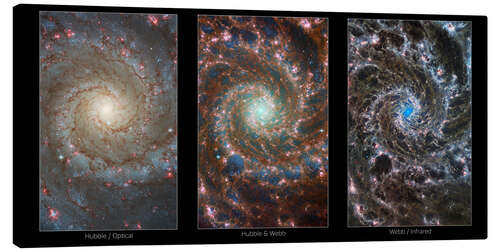 Canvas print M74 Galaxy, HST and JWST, Infrared and Optical Images, 2022