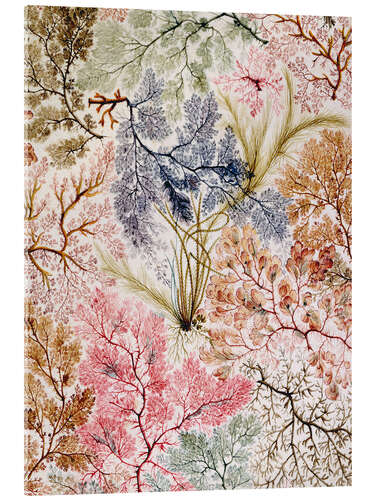 Tableau en verre acrylique Motif floral IV