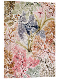 Akrylbillede Floral Pattern IV