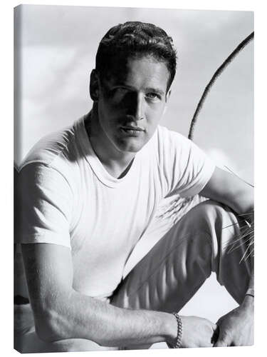 Lienzo Actor Paul Newman