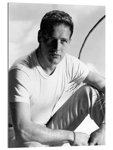 Galleritryk Actor Paul Newman