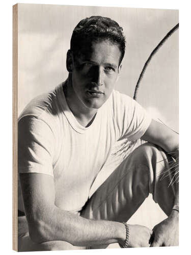 Puutaulu Actor Paul Newman