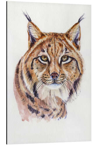 Aluminium print Watercolour Lynx