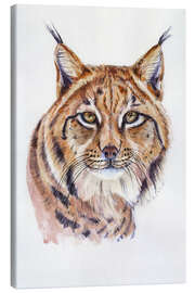 Leinwandbild Aquarell Luchs