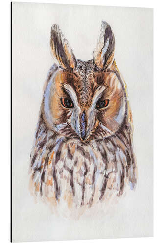 Aluminium print Watercolour Owl