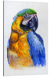 Aluminium print Watercolour Parrot