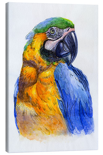 Canvas print Watercolour Parrot