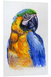 Foam board print Watercolour Parrot