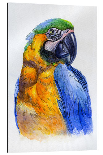 Stampa su plexi-alluminio Watercolour Parrot