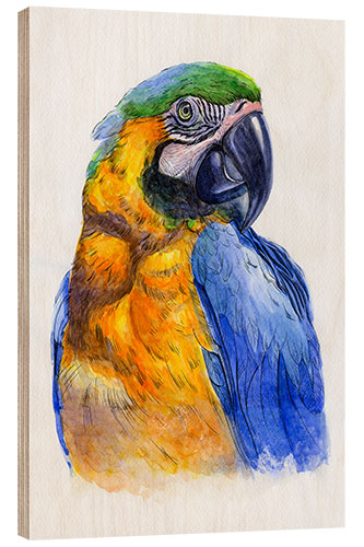 Stampa su legno Watercolour Parrot