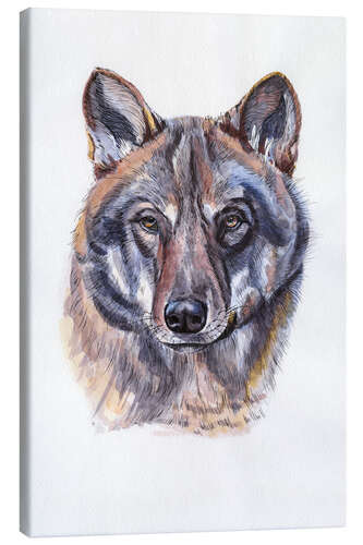 Leinwandbild Aquarell Wolf