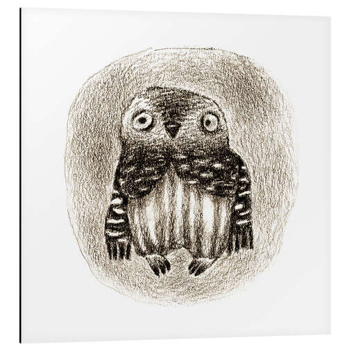 Aluminiumsbilde Owl with sweater