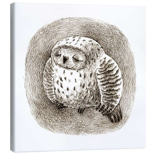 Canvas print Owl is sleeping