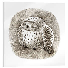 Gallery print Owl is sleeping