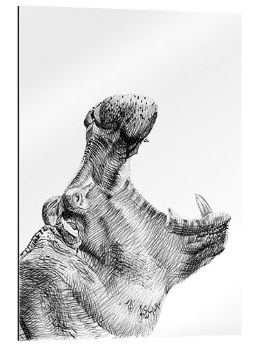 Gallery print Roaring Hippo