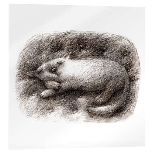 Cuadro de metacrilato Sleeping Cat