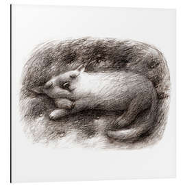 Tableau en aluminium Sleeping Cat