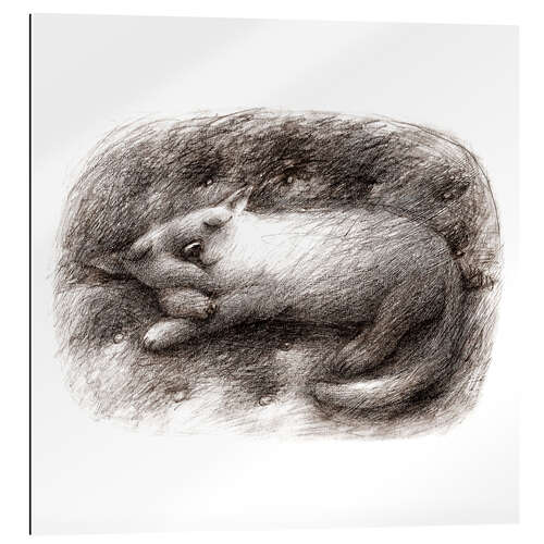 Galleriprint Sleeping Cat