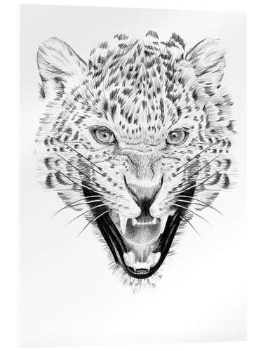 Acrylglasbild Roaring Leo