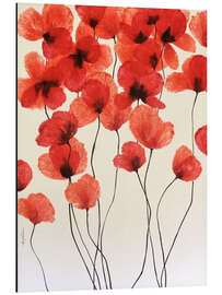 Aluminium print Dance of the Poppies