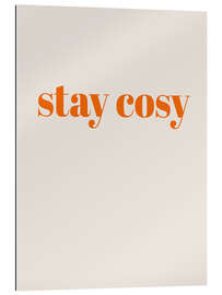 Quadro em plexi-alumínio Stay Cosy II