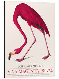 Magnettafel Viva Magenta - American Flamingo, 1883
