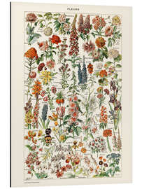 Magnettafel Blumen I (französisch)