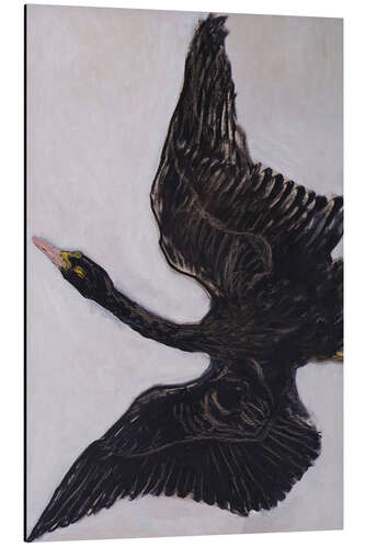 Aluminium print The Black Swan