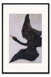 Gerahmter Kunstdruck The Black Swan