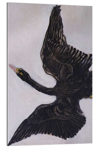 Quadro em plexi-alumínio The Black Swan