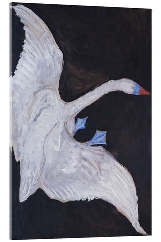 Acrylic print The White Swan