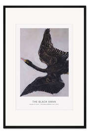 Gerahmter Kunstdruck The Black Swan, 1915